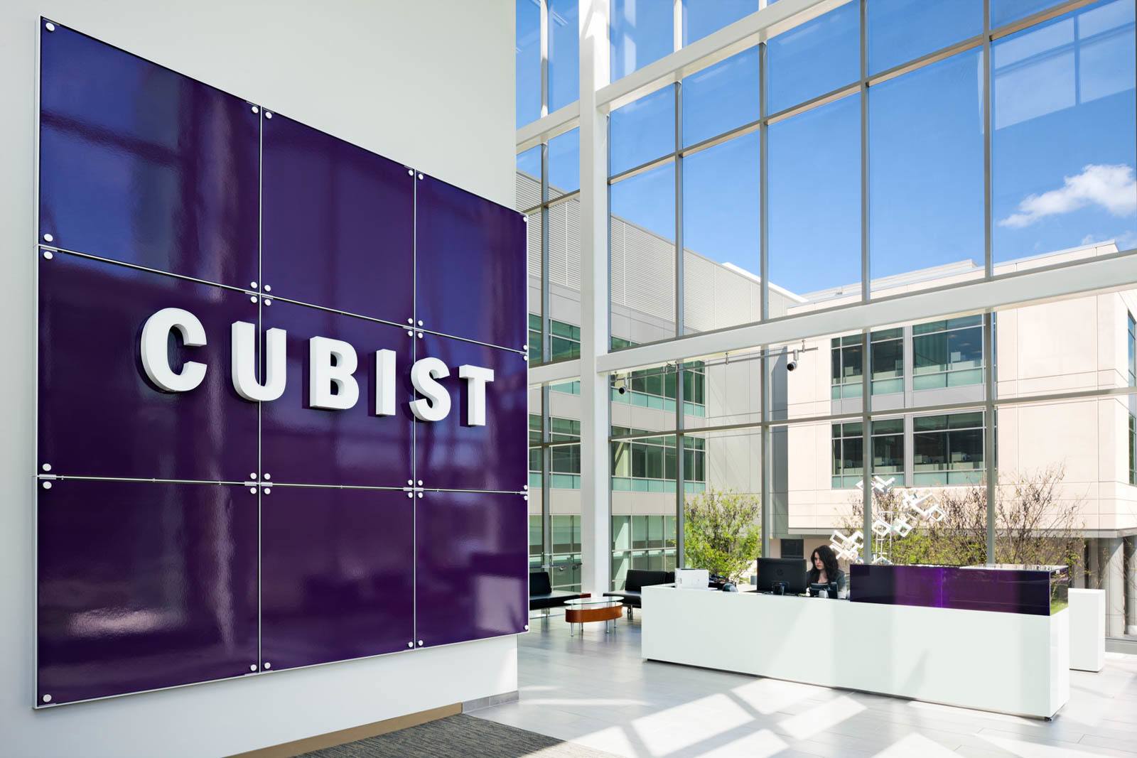 Cubist