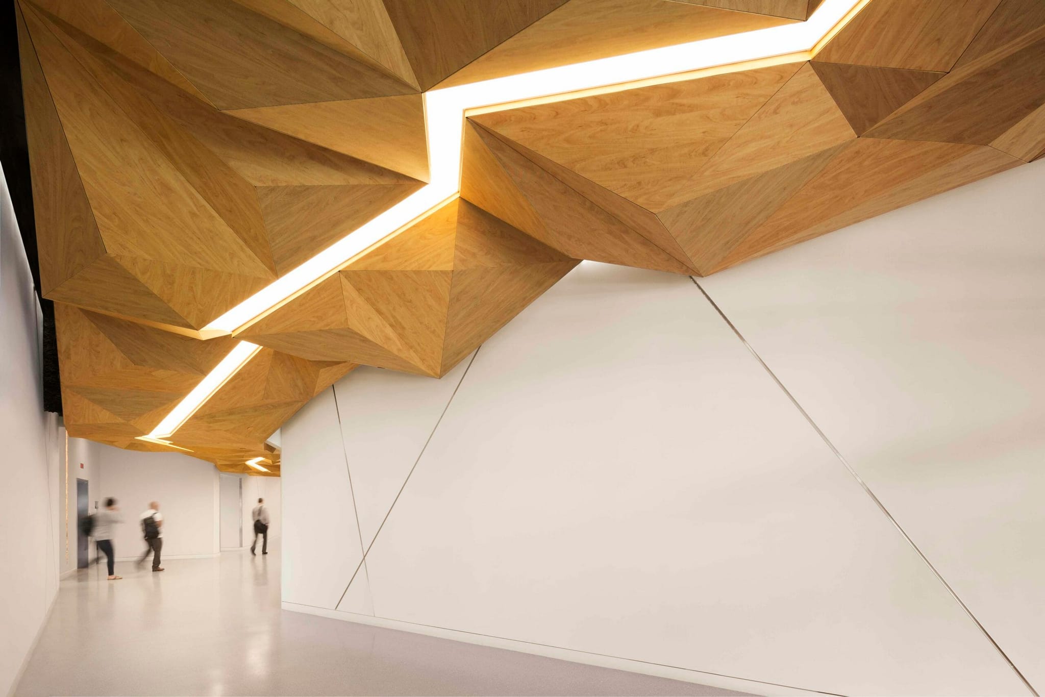 The Ceiling Fracture at 50+60 Binney Street