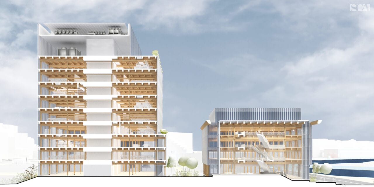 Rendered cross section of the two mass timber life sciences buildings to highlight their unique programming and interconnectivity.